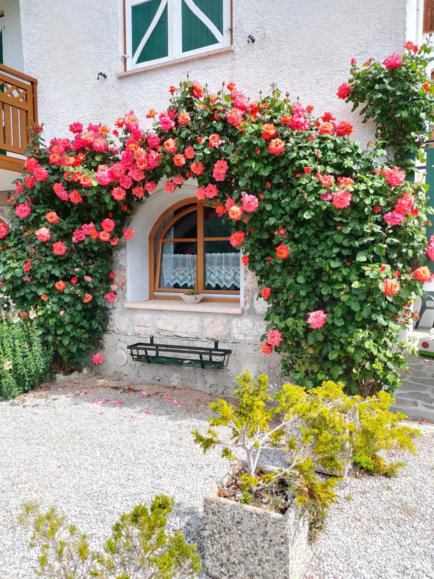Villa Aprica Appartamenti Molveno Exterior foto